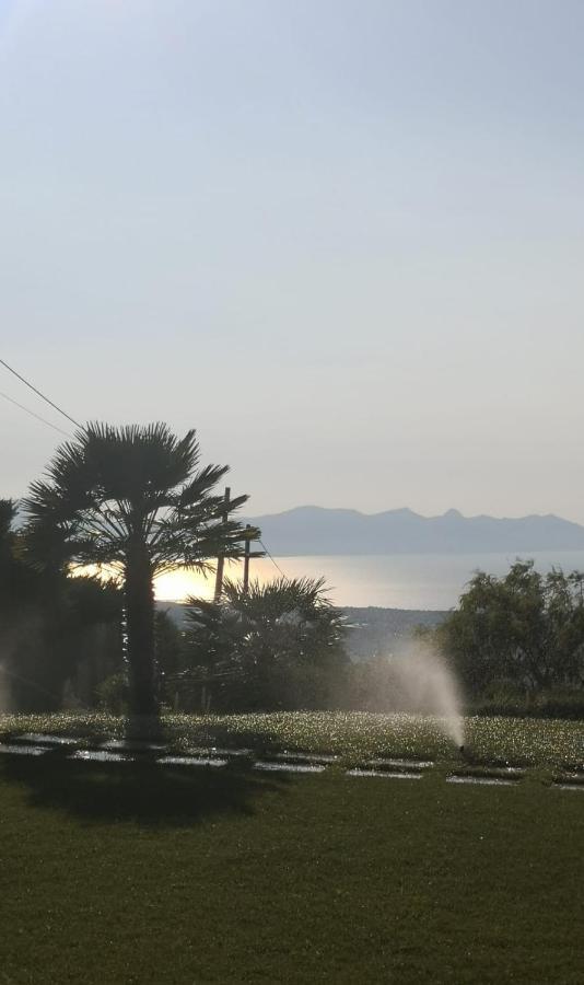 Villa Siciliana Con Piscina E Vista Panoramica Sul Mare Borgetto Eksteriør billede