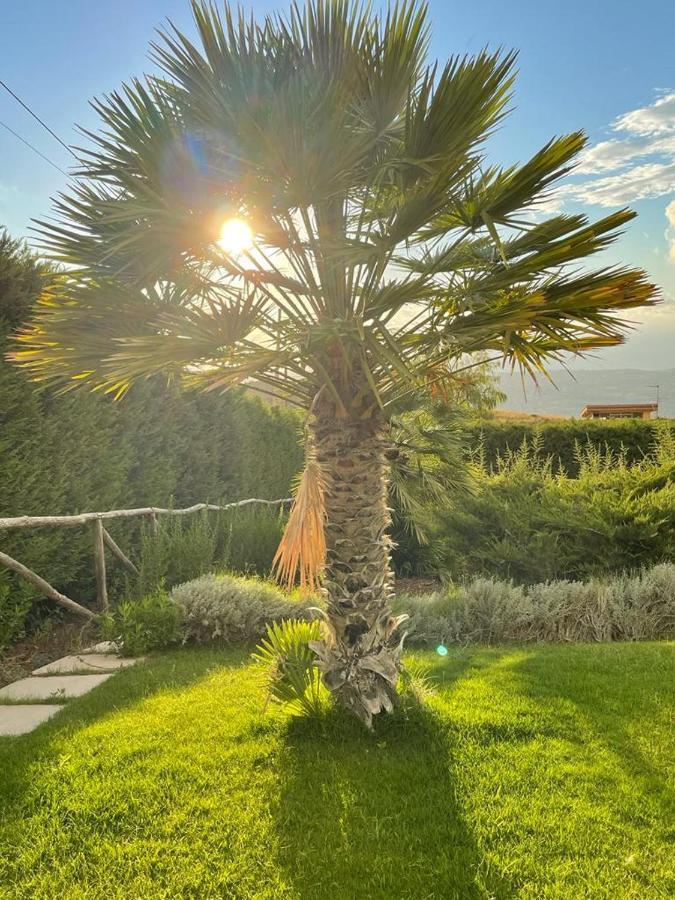 Villa Siciliana Con Piscina E Vista Panoramica Sul Mare Borgetto Eksteriør billede